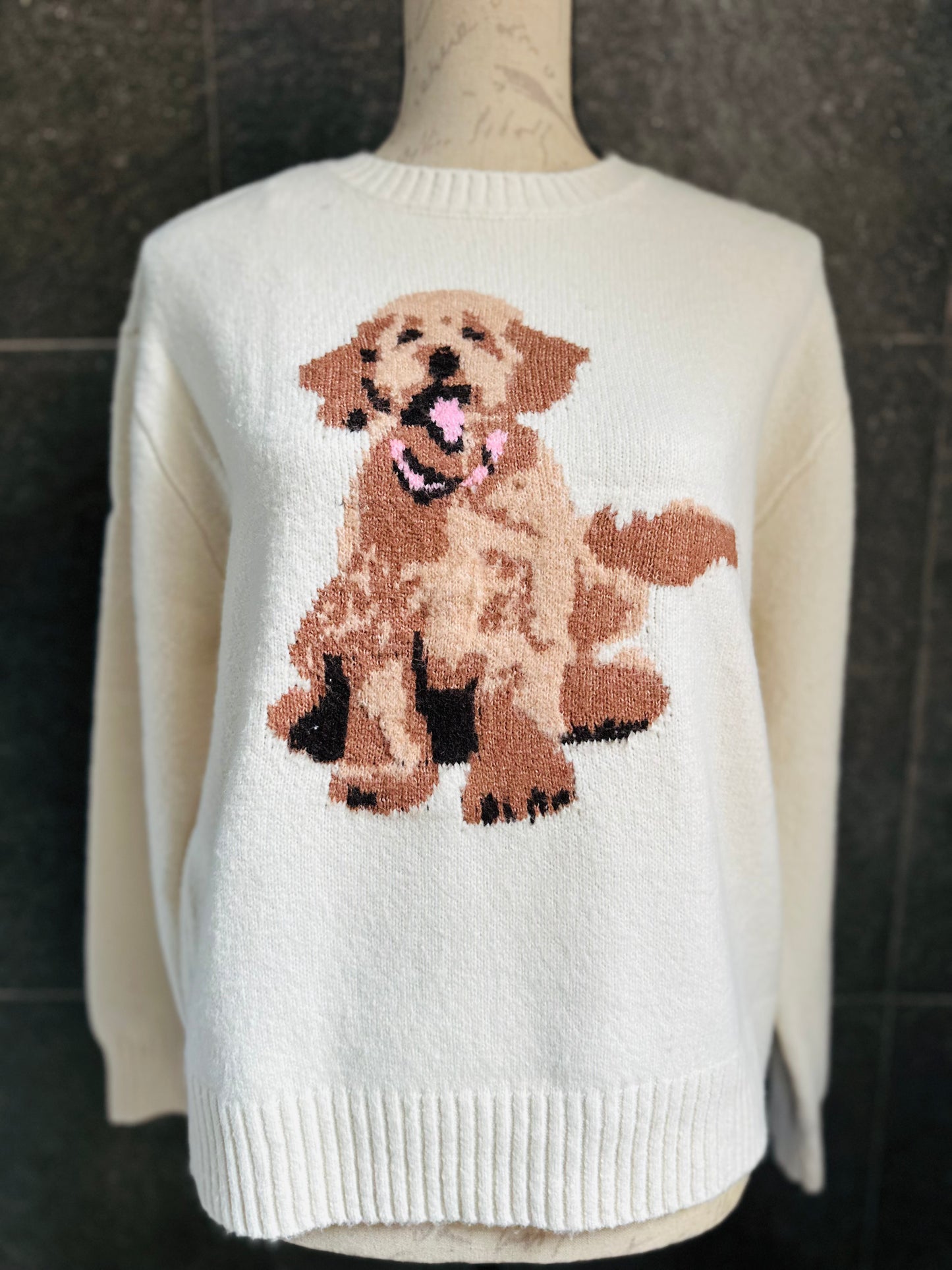 Suéter dog