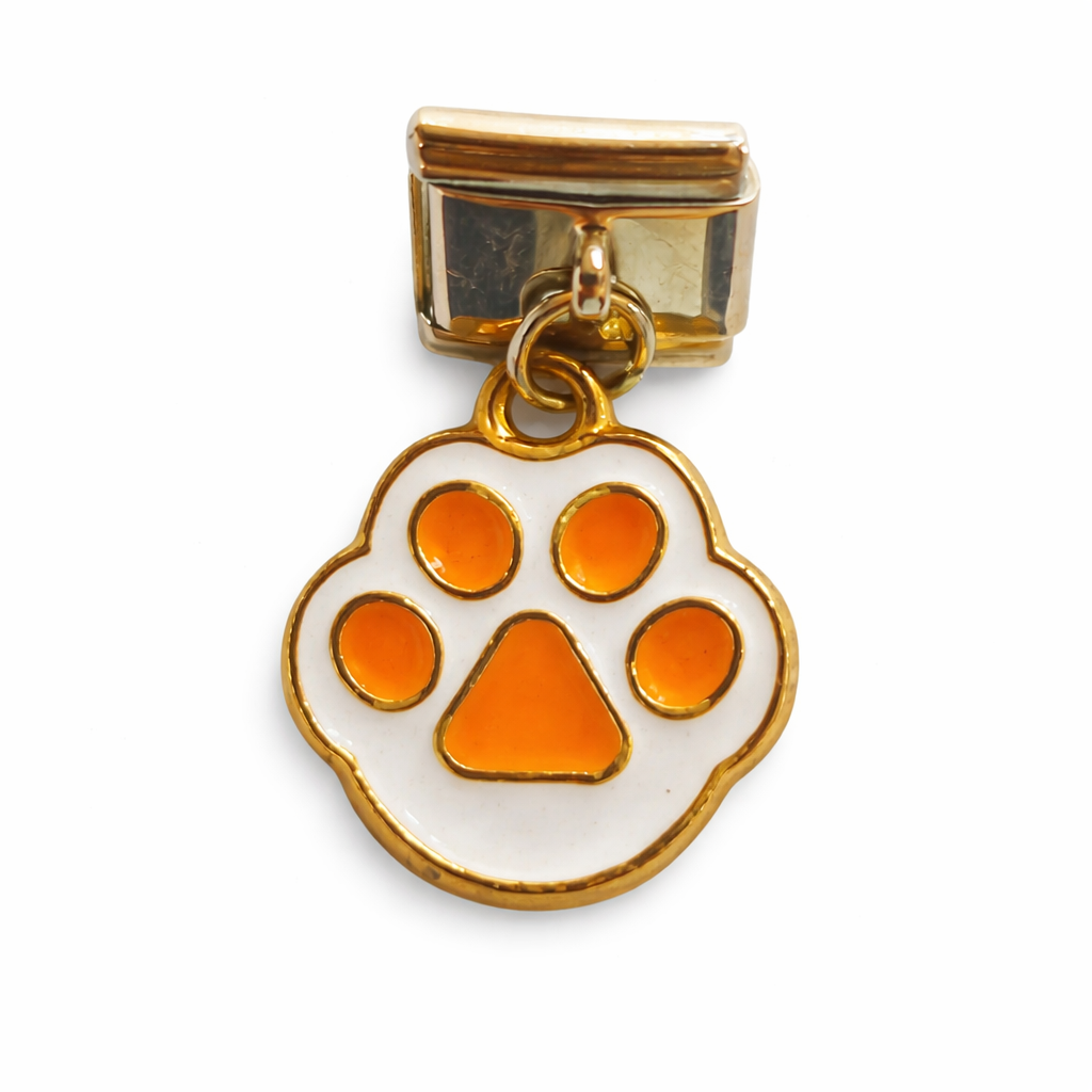 Charm patita de gato