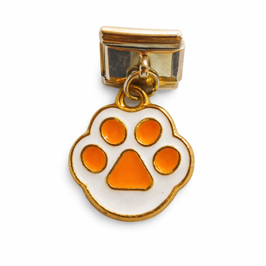 Charm patita de gato